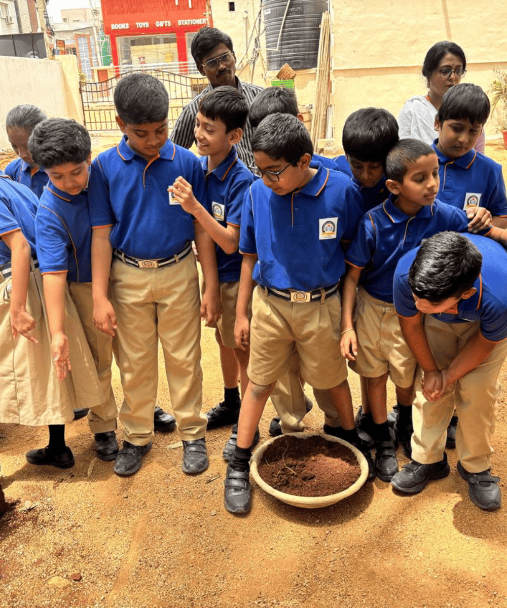 A group of students gathered around a newly planted seedling, learning about plant life and the environment.
