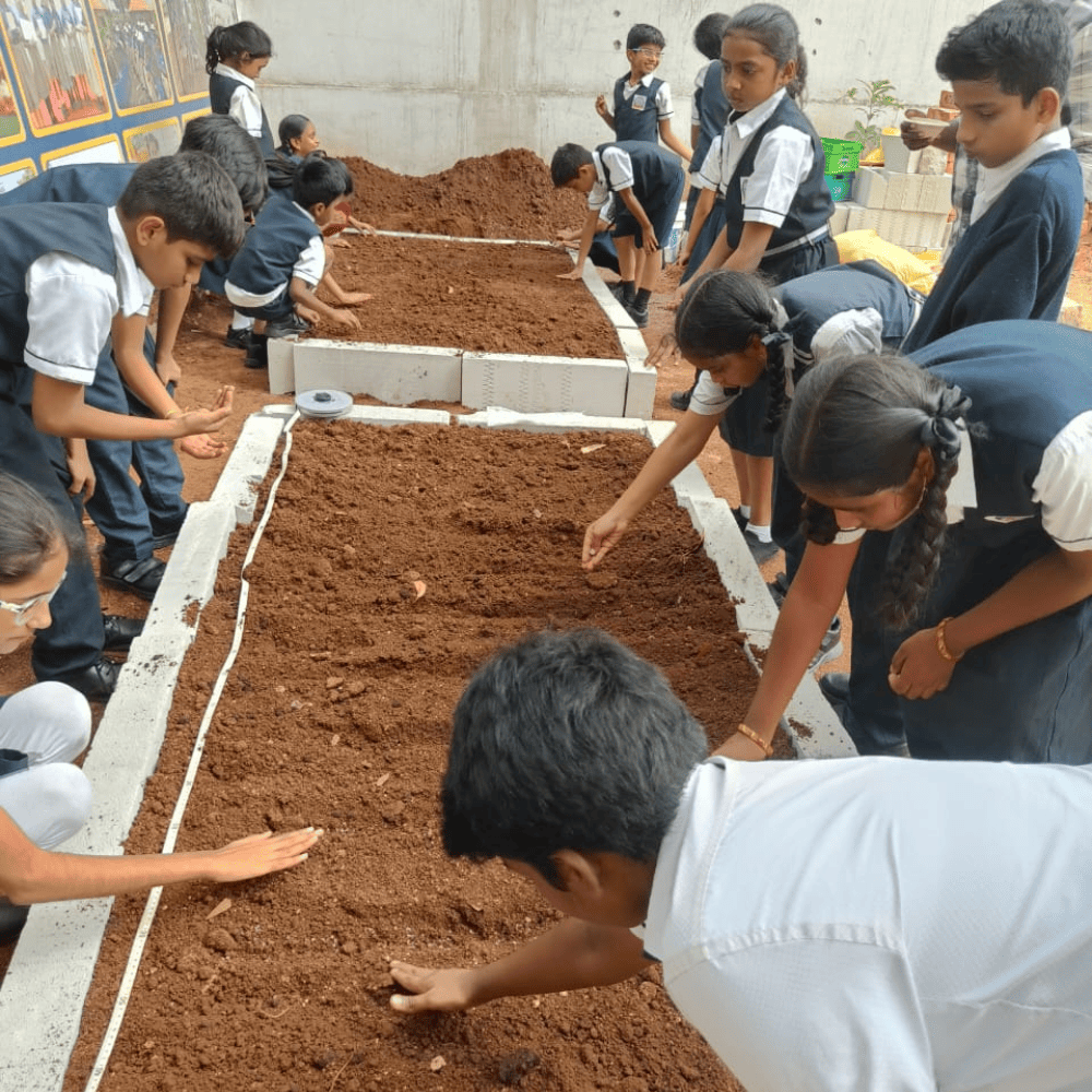 A group of students from Guru Dronacharya Pathshala participating in a school gardening project, planting seeds in prepared soil beds.